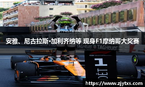 ng28南宫安雅、尼古拉斯·加利齐纳等 现身F1摩纳哥大奖赛